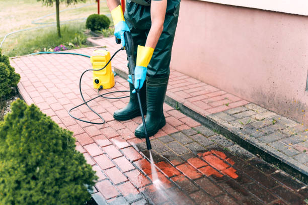 Best Roof Washing  in Woodlake, VA