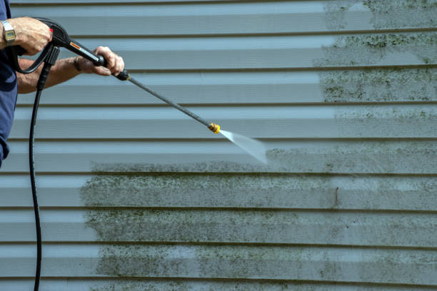 Best Rust Removal  in Woodlake, VA